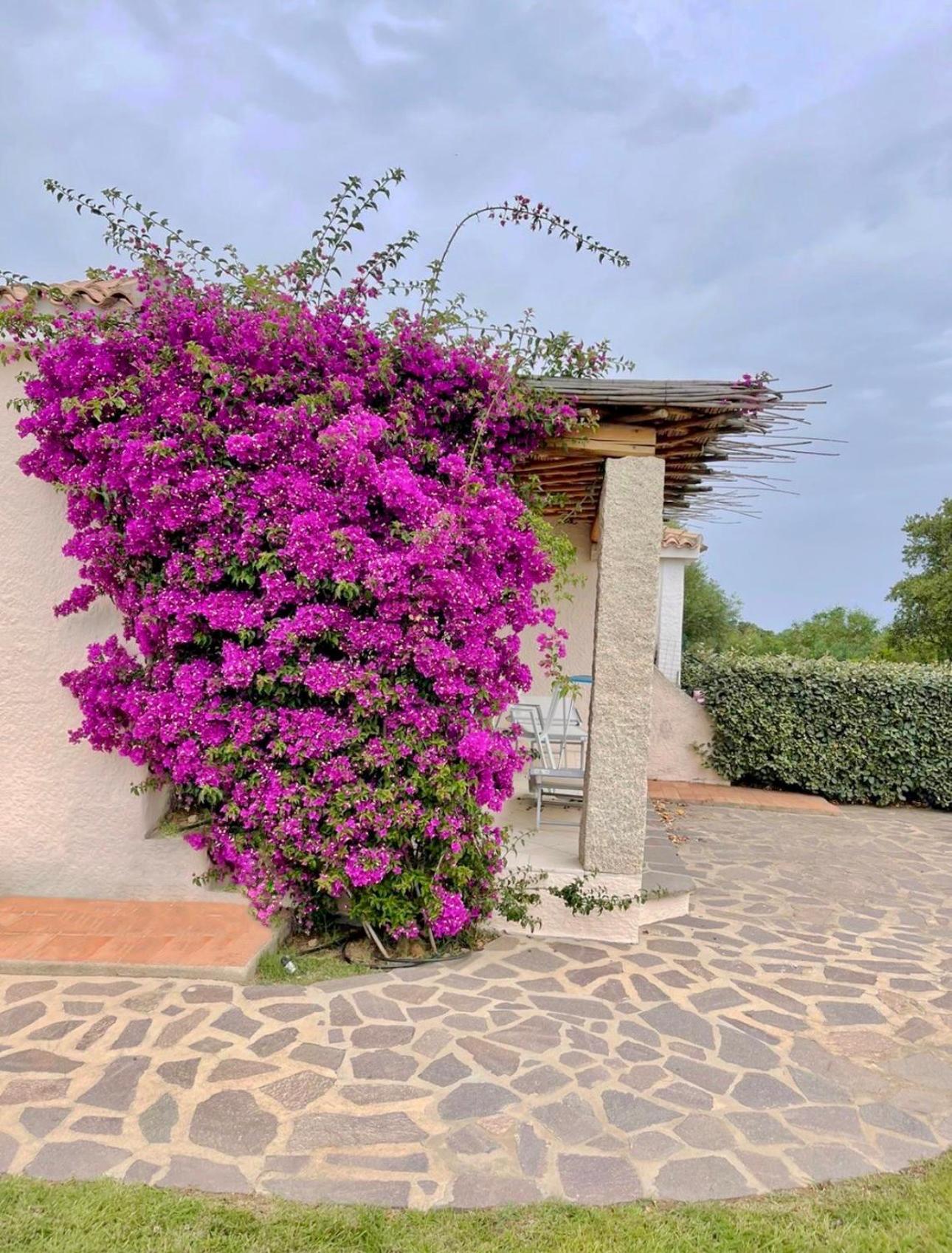 Residence Capraggia Cannigione Exterior foto